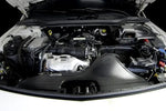 Load image into Gallery viewer, Mercedes-Benz C117 CLA250 / W176 A250 ARMASPEED Carbon Fiber Intake

