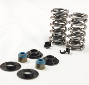 DUAL VALVE SPRING KIT, MANLEY TO SUIT LS